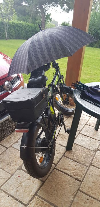 Used Atala Atala Extrafolding Fat Bike 250W Ruota 20" Bicicletta Elettrica A Pedalata Assistita 2020 2020 Urban & Touring