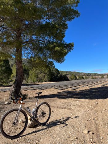 Used BH GRAVEL AT Shimano GRX 2024 Road & Gravel, Orange — image 6 of 8