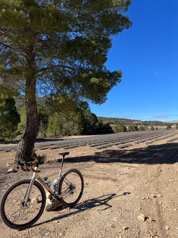 Brugt BH GRAVEL AT Shimano GRX 2024 Road & Gravel — billede 6 af 7