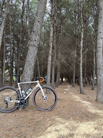 Used BH GRAVEL AT Shimano GRX 2024 Road & Gravel, Orange — image 4 of 8