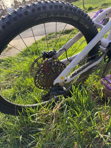 Brugt Canyon Torque Park AL 6 2024 2024 Mountainbike — billede 5 af 6