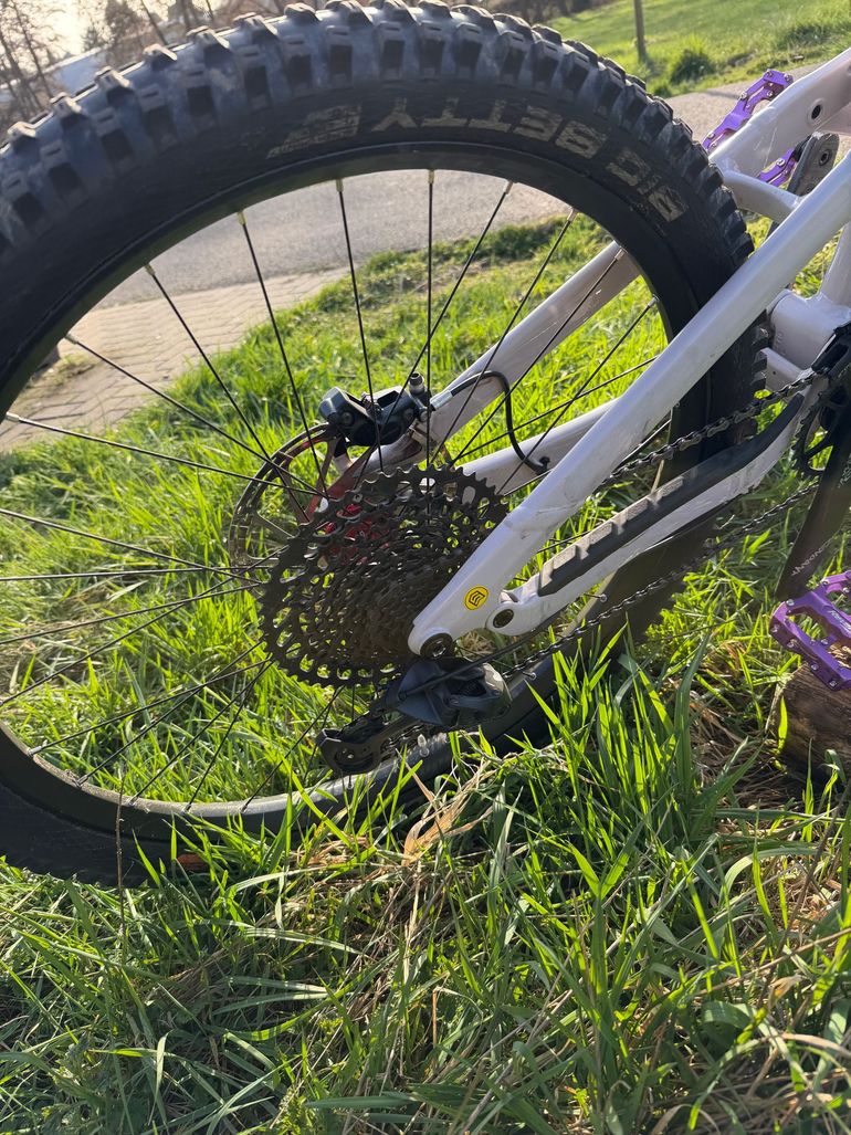 Used Canyon Torque Park AL 6 2024 2024 Mountainbike, White, 27.5 — image 5 of 6