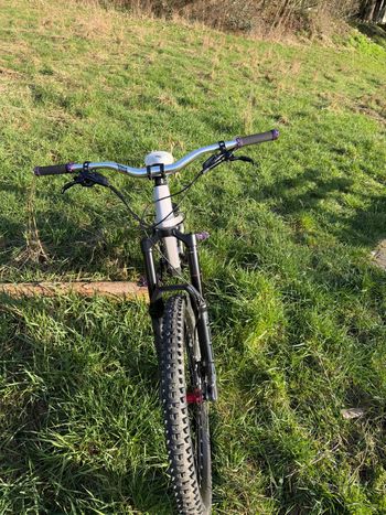 Used Canyon Torque Park AL 6 2024 2024 Mountainbike, White, 27.5 — image 3 of 6