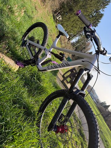 Brugt Canyon Torque Park AL 6 2024 2024 Mountainbike — billede 2 af 6