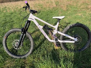 Used Canyon Torque Park AL 6 2024 2024 MTB