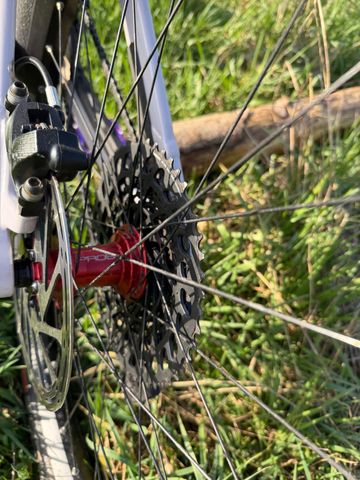 Brugt Canyon Torque Park AL 6 2024 2024 Mountainbike — billede 4 af 6