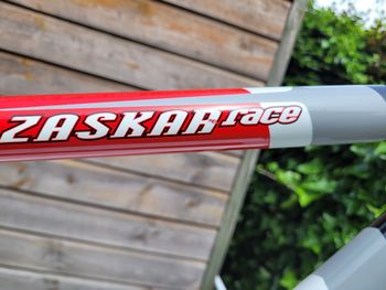 Used GT ZASKAR Race Frameset 2001 Mountainbike, Red — image 11 of 12