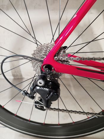 Used Trek TREK EMONDA SL 2017 TG 56 2017 Road & Gravel, Rot — image 6 of 14