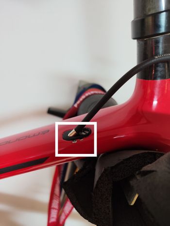 Used Trek TREK EMONDA SL 2017 TG 56 2017 Road & Gravel, Rot — image 14 of 14