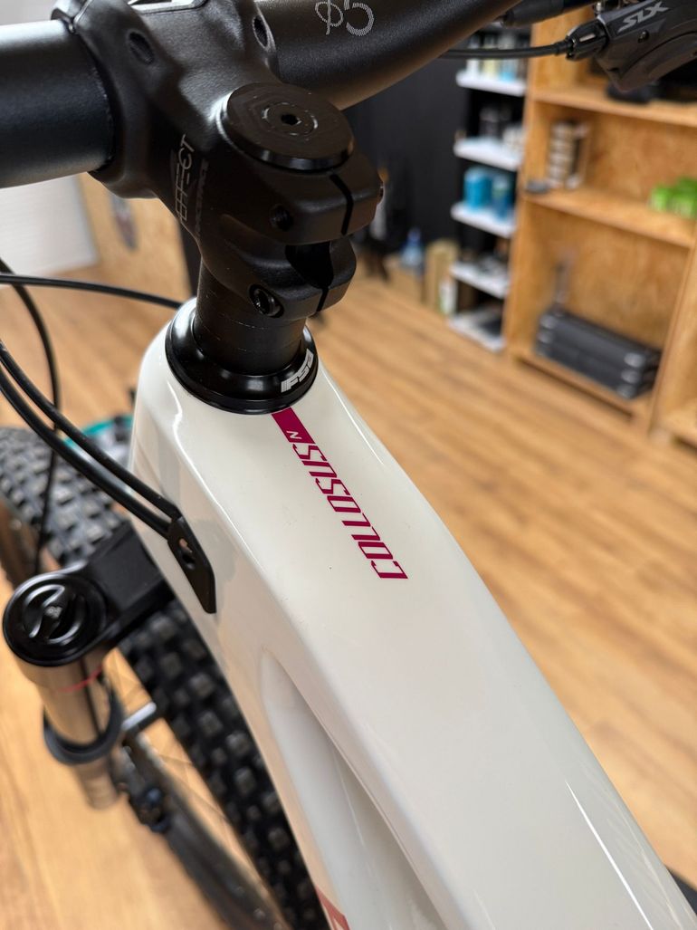 Used Polygon Collosus Shimano SLX 2026 Mountainbike, Light Gray — image 9 of 12