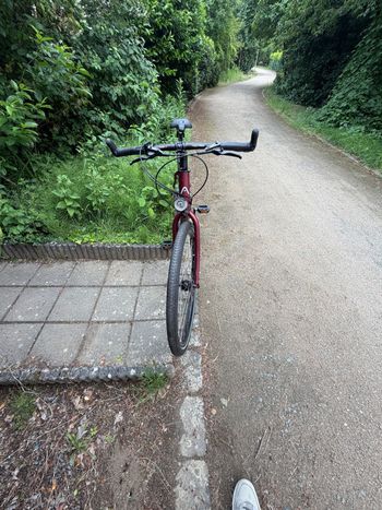 Used Santos Travelmaster 3+ | Pinion P1.18 | Gates Riemen – DEFEKT / FÜR BASTLER Santos Travelmaster 3+ | Pinion P1.18 | Gates Riemen – DEFEKT / FÜR BASTLER Custom Shimano Deore XT 2024 Road & Gravel, Red — image 25 of 30