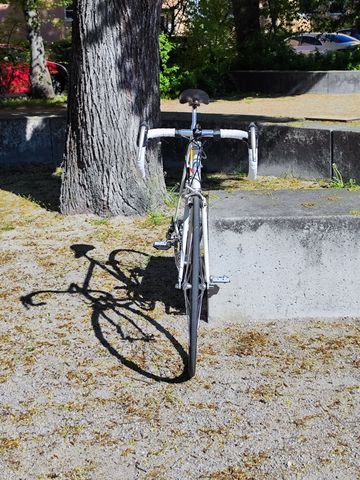 Brugt Pinarello Banesto Replica 1994 Road & Gravel — billede 2 af 19