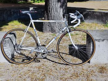 Used Pinarello Banesto Replica 1994 Road & Gravel