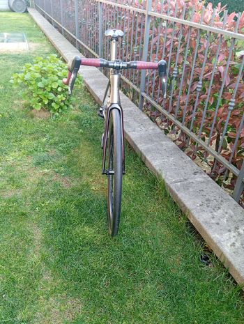 Used Legend Legend Custom SRAM Red eTap AXS 2024 Road & Gravel, Purple — image 4 of 5