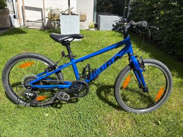 Giant ARX 20 2022 2022 Youth d'occasion — image 8 sur 8