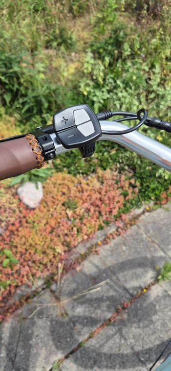 Used fongers Fongers Monza 2026 Urban, Green — image 5 of 6
