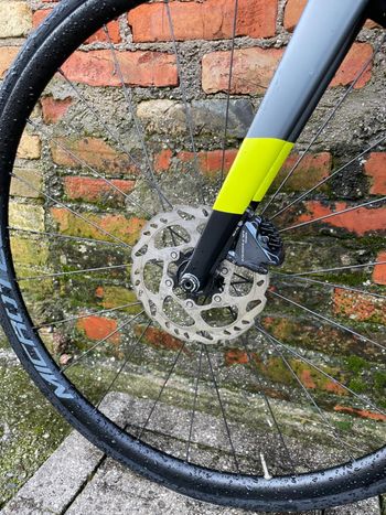 Used Basso Diamante SV Disc Kaizen Team Bike 2019 2019 Road & Gravel, Schwarz — image 6 of 7