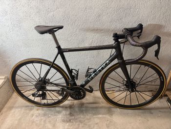 Used Festka One DISC Frameset 2024 2024 Road & Gravel