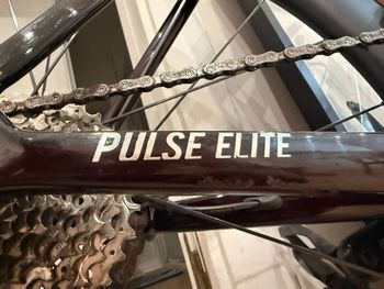 Used Megamo PULSE ELITE 15 SH12 2024 2024 Road & Gravel, Red — image 6 of 7