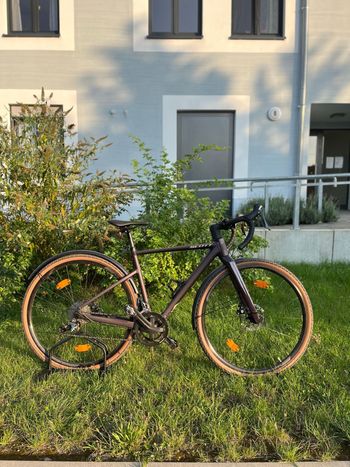 Used Scott Contessa Speedster Gravel 25 EQ 2024 2024 Road & Gravel
