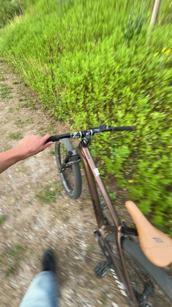 Used Rose THE BRUCE 1 2023 2023 Mountainbike, Black, 26 — image 6 of 6