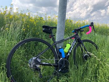 Used Trek Domane S 5 Disc 2017 2017 Road & Gravel, Black — image 5 of 5