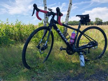 Used Trek Domane S 5 Disc 2017 2017 Road & Gravel, Black — image 4 of 5