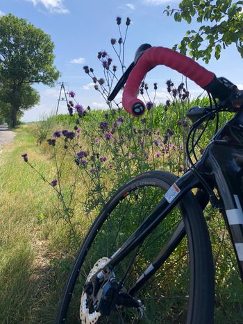 Used Trek Domane S 5 Disc 2017 2017 Road & Gravel, Black — image 3 of 5