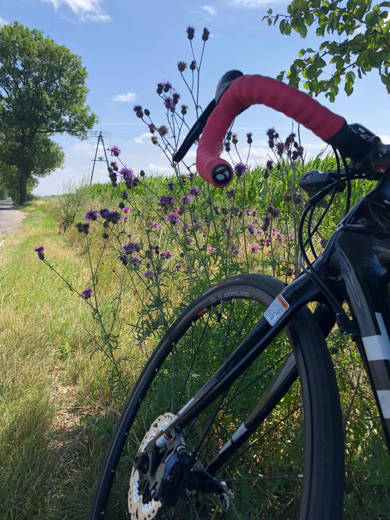 Used Trek Domane S 5 Disc 2017 2017 Road & Gravel, Black — image 3 of 5