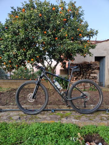 Used Focus RAVEN 8.7 2019 2019 MTB