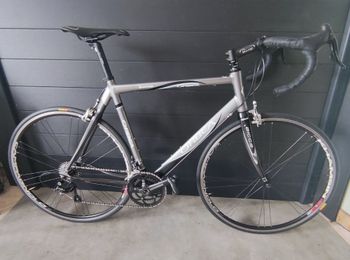 Used Orbea Orbea Custom Other Campagnolo 2014 Road & Gravel