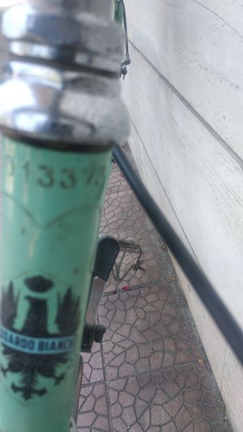 Used Bianchi Milano Simplex Vintage 1979 Road & Gravel — image 12 of 16