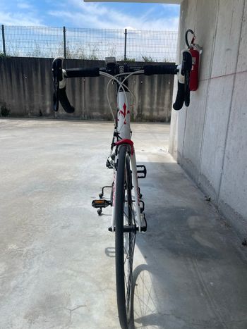 Used Wilier Wilier Custom Campagnolo Veloce 2016 Road & Gravel — image 4 of 8