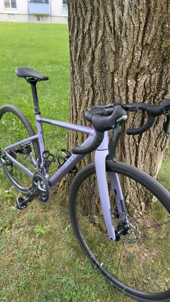 Used Scott Speedster 20 2025 2025 Road & Gravel, Purple — image 3 of 3