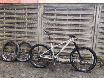 Used Canyon Stoic 3 2023 2023 Mountainbike, Light Gray, 27.5, 29 — image 2 of 13