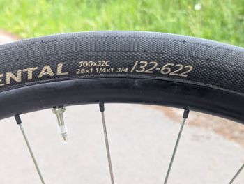 Used Waltlyti Titanium Disc Allroad 2025 Road & Gravel, Light Gray — image 14 of 14