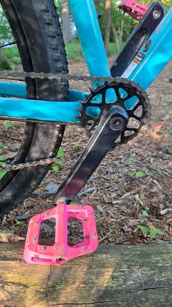 Used Cannondale Cannondale Trail 2 Upgraded 2025 Mountainbike, Blue — image 7 of 16