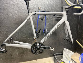 Used Time Alpe d'huez Frameset 2025 Road & Gravel, Light Gray — image 3 of 3
