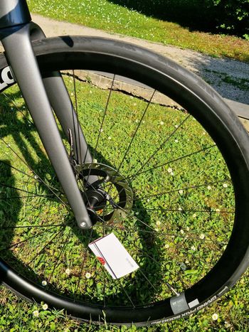 Used Lapierre Xelius DRS 9.0 2025 2025 Road & Gravel, Light Gray — image 4 of 9