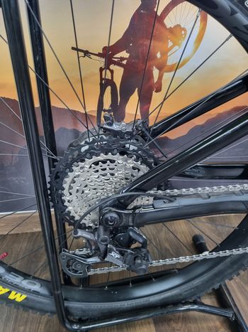 Used Orbea RISE H10 2024 2024 Mountainbike, Light Gray, 29 — image 3 of 11