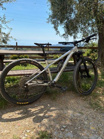 Used Orbea LAUFEY H30 2023 2023 MTB