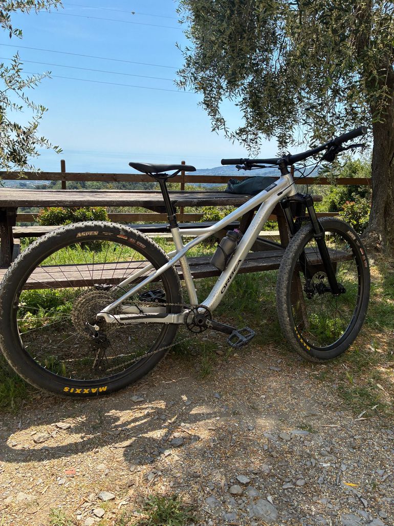 Used Orbea LAUFEY H30 2023 2023 Mountainbike, Light Gray, 29 — image 1 of 7