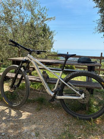 Used Orbea LAUFEY H30 2023 2023 Mountainbike, Light Gray, 29 — image 2 of 7