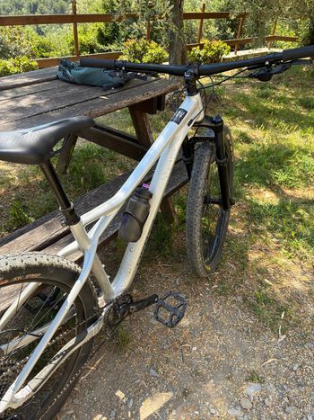 Used Orbea LAUFEY H30 2023 2023 Mountainbike, Light Gray, 29 — image 6 of 7