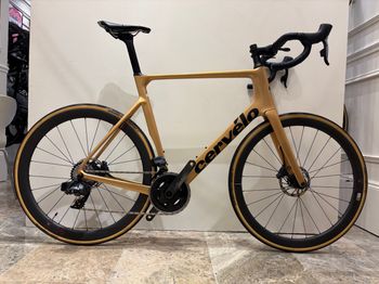 Used Cervélo CERVELO SOLOIST SRAM FORCE AXS GOLD BLACK · SIZE 61 2025 Road & Gravel