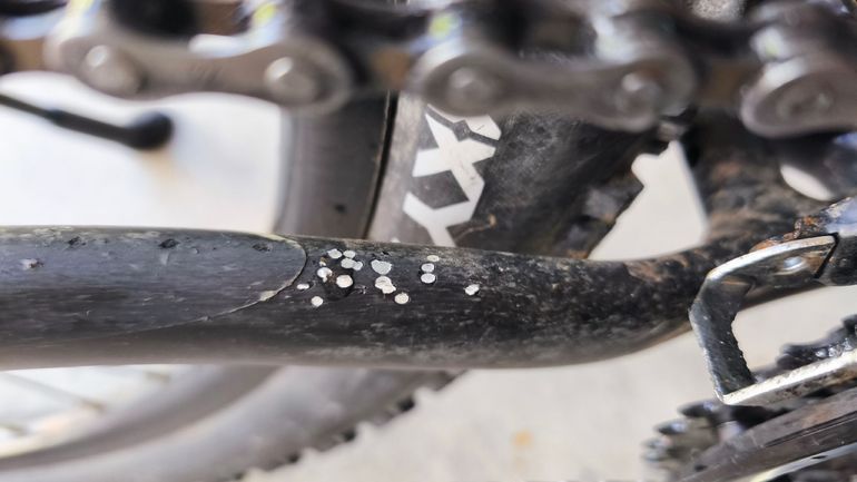 Used BULLS Wildtail 1 29 2023 2023 Mountainbike — image 3 of 3