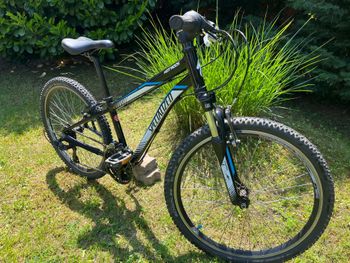 Used Specialized Hotrock Shimano Tourney 2013 Youth, Black — image 7 of 9