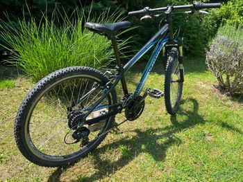 Used Specialized Hotrock Shimano Tourney 2013 Youth, Black — image 8 of 9