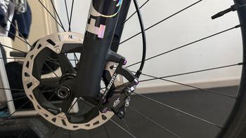 Used Orbea OIZ M-PRO AXS 2023 Frameset 2023 Mountainbike, Purple, 29 — image 3 of 6