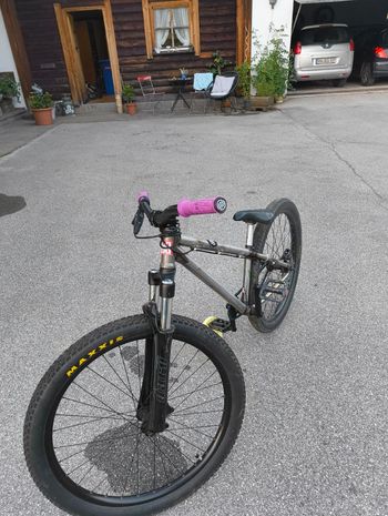 Used leafcycle Leafcycle Custom Single Speed / Fixed Gear 2021 MTB